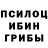 Галлюциногенные грибы мицелий HAZPRODBEATS