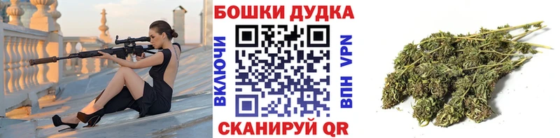 Бошки марихуана марихуана  Купить где  Арамиль 